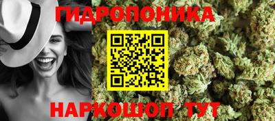 apvp Кандалакша