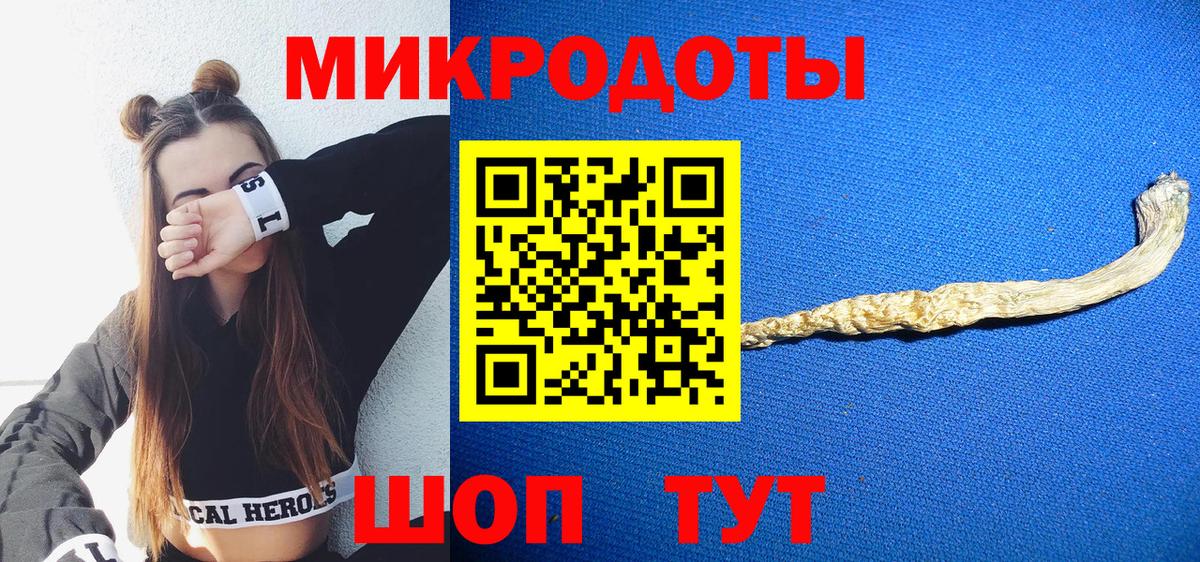 Псилоцибиновые грибы Cubensis Владимир